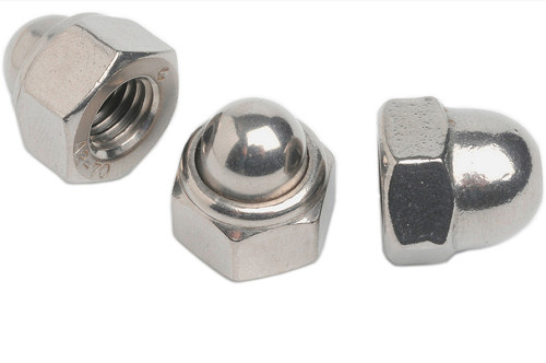 Nylon Insert Stainless Domed Nuts