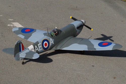 VQ Models Spitfire 50 Size EP/GP