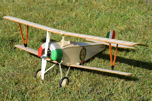 Electric setup for 24 Inch Nieuport 11