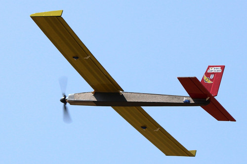 EasyGlider by Roy Thompson