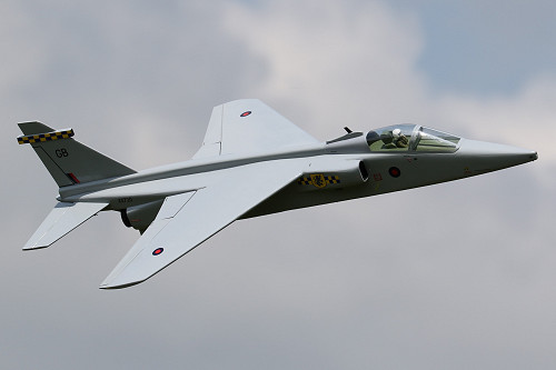 Tony Nijhuis 29 Inch EDF Jaguar GR.1